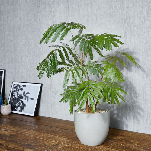 どんなインテリアにもマッチするエバーフレッシュ(Grey) | 青山