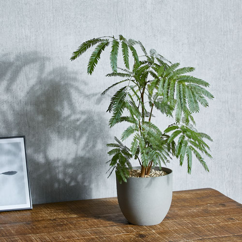 どんなインテリアにもマッチするエバーフレッシュ(Grey) | 青山