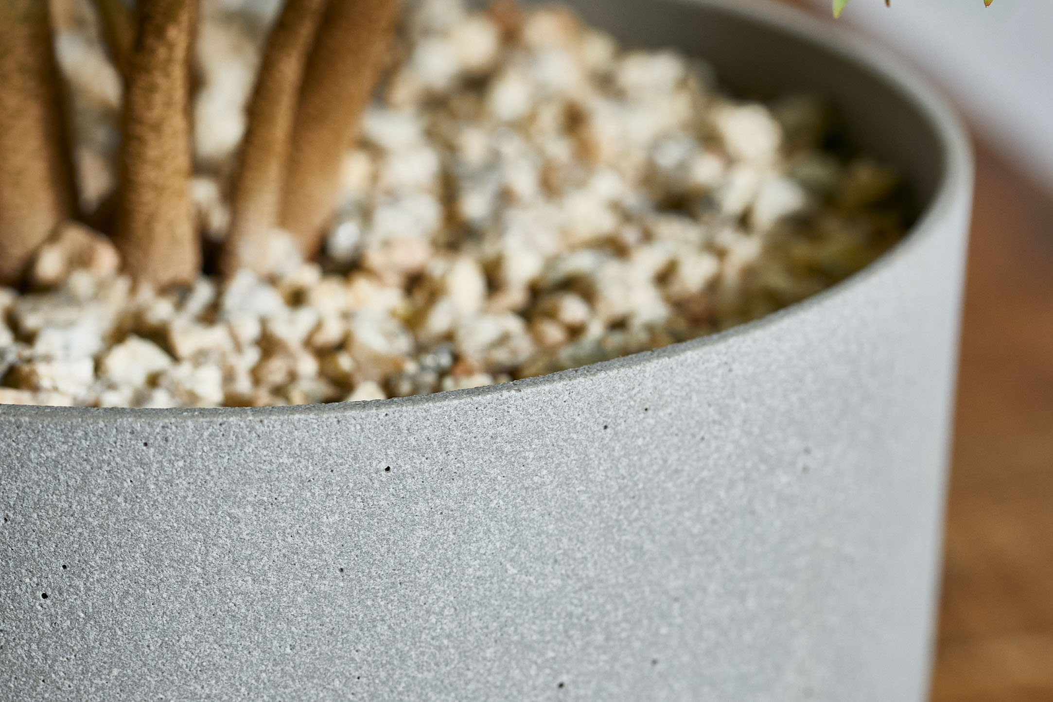 どんなインテリアにもマッチするエバーフレッシュ(Grey) | 青山