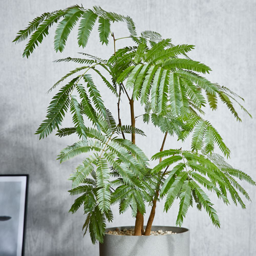 どんなインテリアにもマッチするエバーフレッシュ(Grey) | 青山