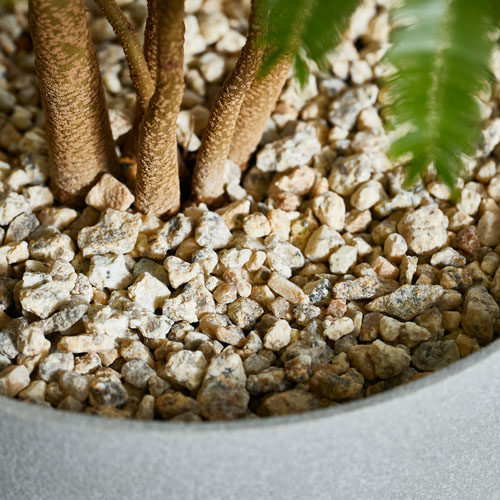 【お客♡】エバーフレッシュ♥記念品 エバーフレッシュ/FARM(ファーム)/エルセ14 C | 青山フラワー