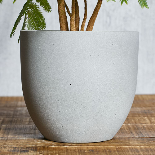 どんなインテリアにもマッチするエバーフレッシュ(Grey) | 青山