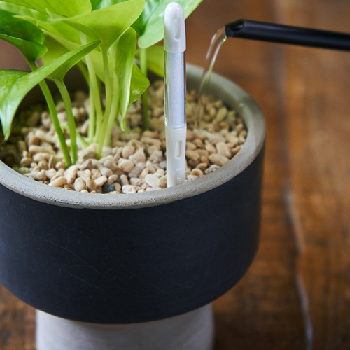 植物セット 東京優芳園｜魔法の土®と種子セット