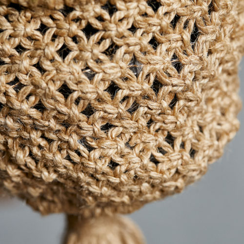 ベルベットのような星型の花が咲くホヤ マチルダ サクララン 青山フラワーマーケット公式 花屋 花 花束 フラワーギフト 通販