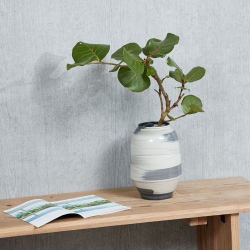 一点もの観葉植物 青山フラワーマーケット公式 花屋 花 花束 フラワーギフト 通販