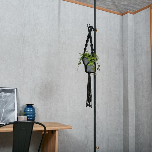 ベルベットのような星型の花が咲くホヤ マチルダ サクララン 青山フラワーマーケット公式 花屋 花 花束 フラワーギフト 通販