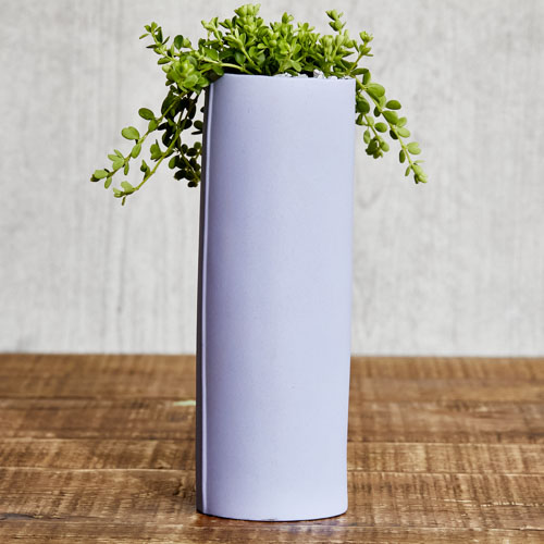 スタイリッシュなフォルムに仕上げたペペロミア デッピアナ Purple 青山フラワーマーケット公式 花屋 花 花束 フラワーギフト 通販