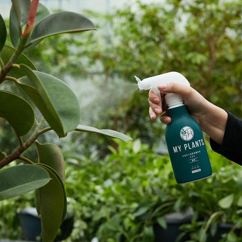 My Plants すばやく元気を届けるミスト 青山フラワーマーケット公式 花屋 花 花束 フラワーギフト 通販