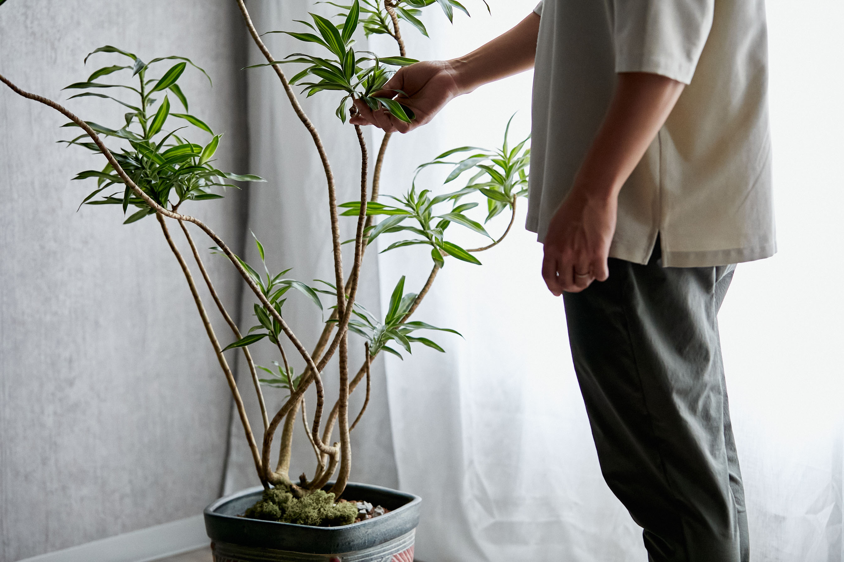 造花 屋外対応 ドラセナ プランター W アレンジメント