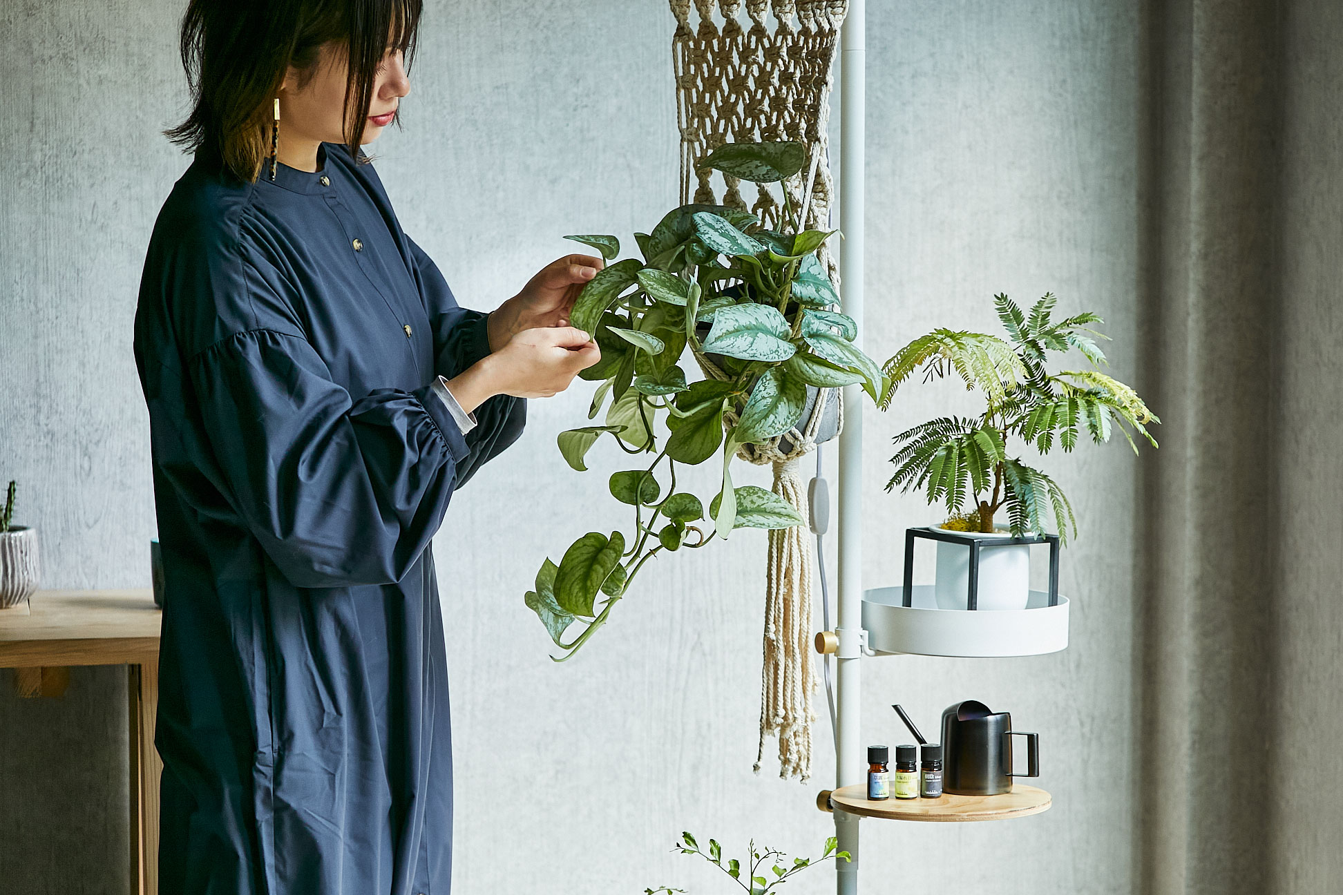 どんな場所でも植物を楽しめるDRAW A LINE (White) | 青山フラワー