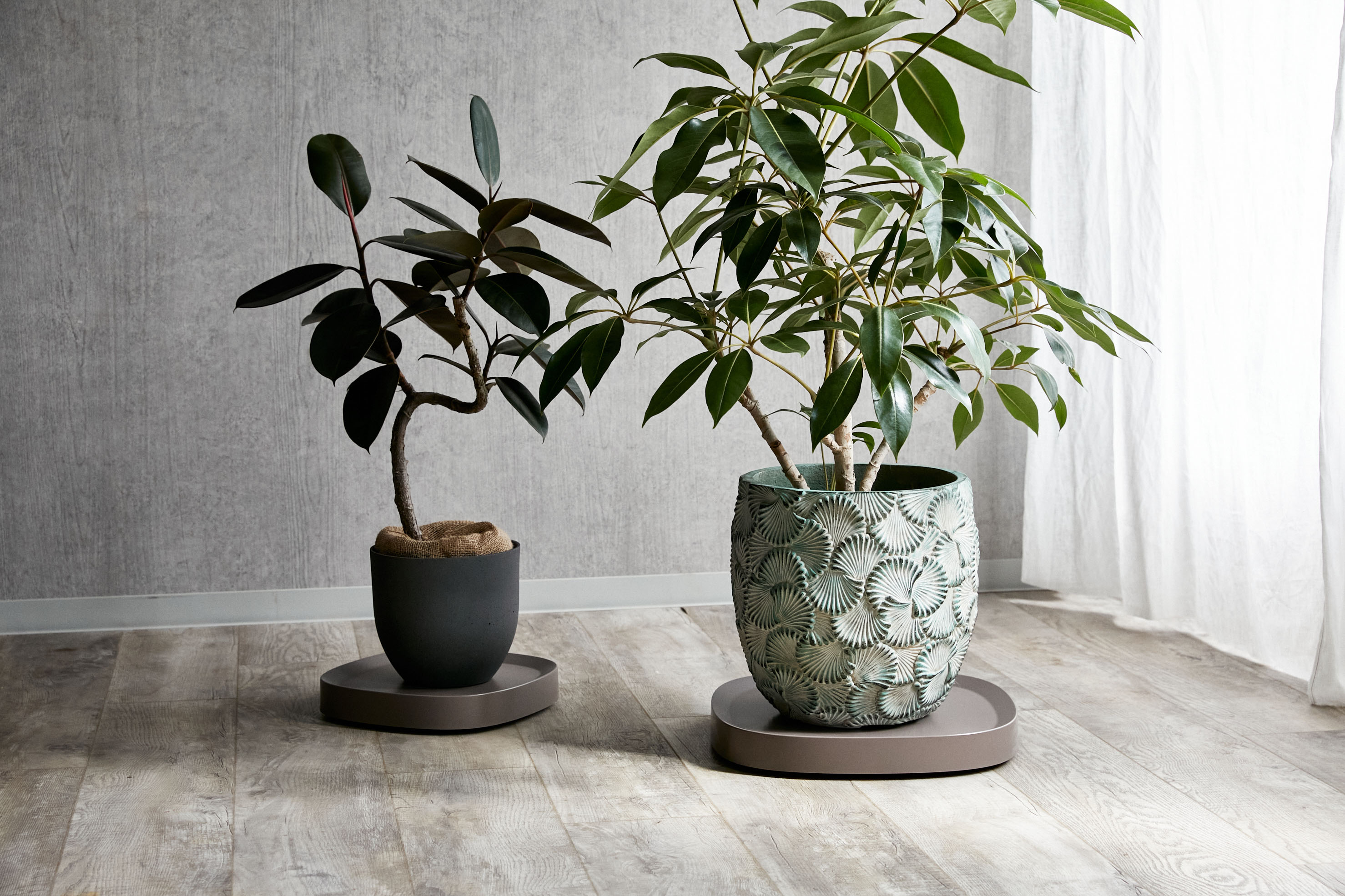 【まとめ売り参考投稿】青山フラワーマーケット植木鉢 Plantable/スモール (Brown) | 青山フラワーマーケット｜花束・ギフト