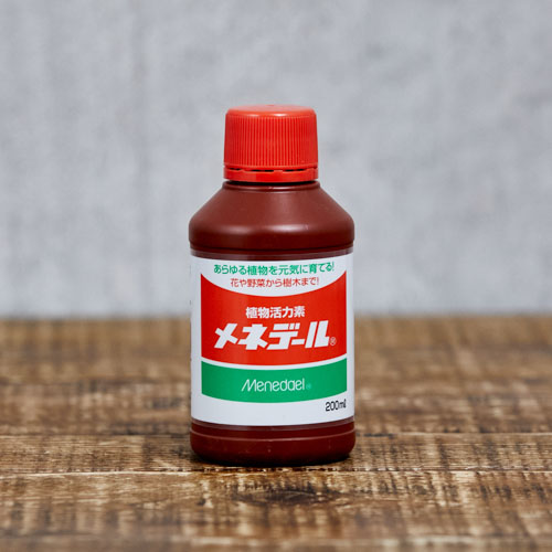青山フラワーマーケット｜花束・ギフトのオンラインショップ