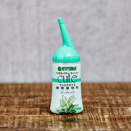 ハイポネックス・キュート150ml | 青山フラワーマーケット｜花束