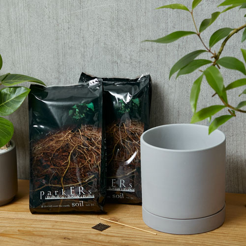 鉢・プランター valiem M valiem × plants by frame 別注鉢 Mサイズ | plants by f