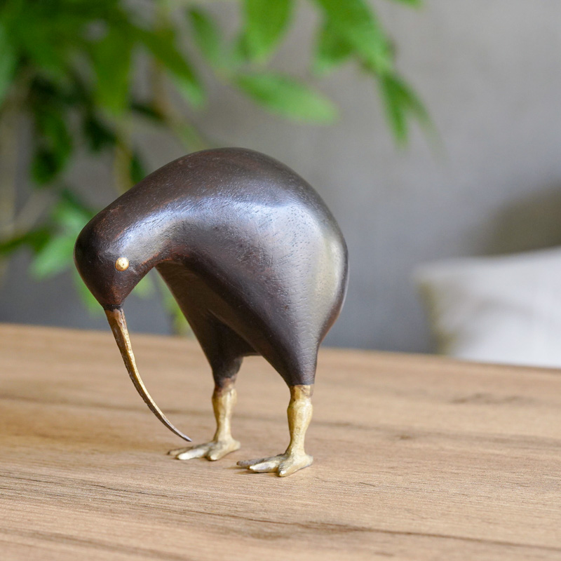 森で最も愛される鳥」と言われるキウイ(大)Black | 青山フラワー