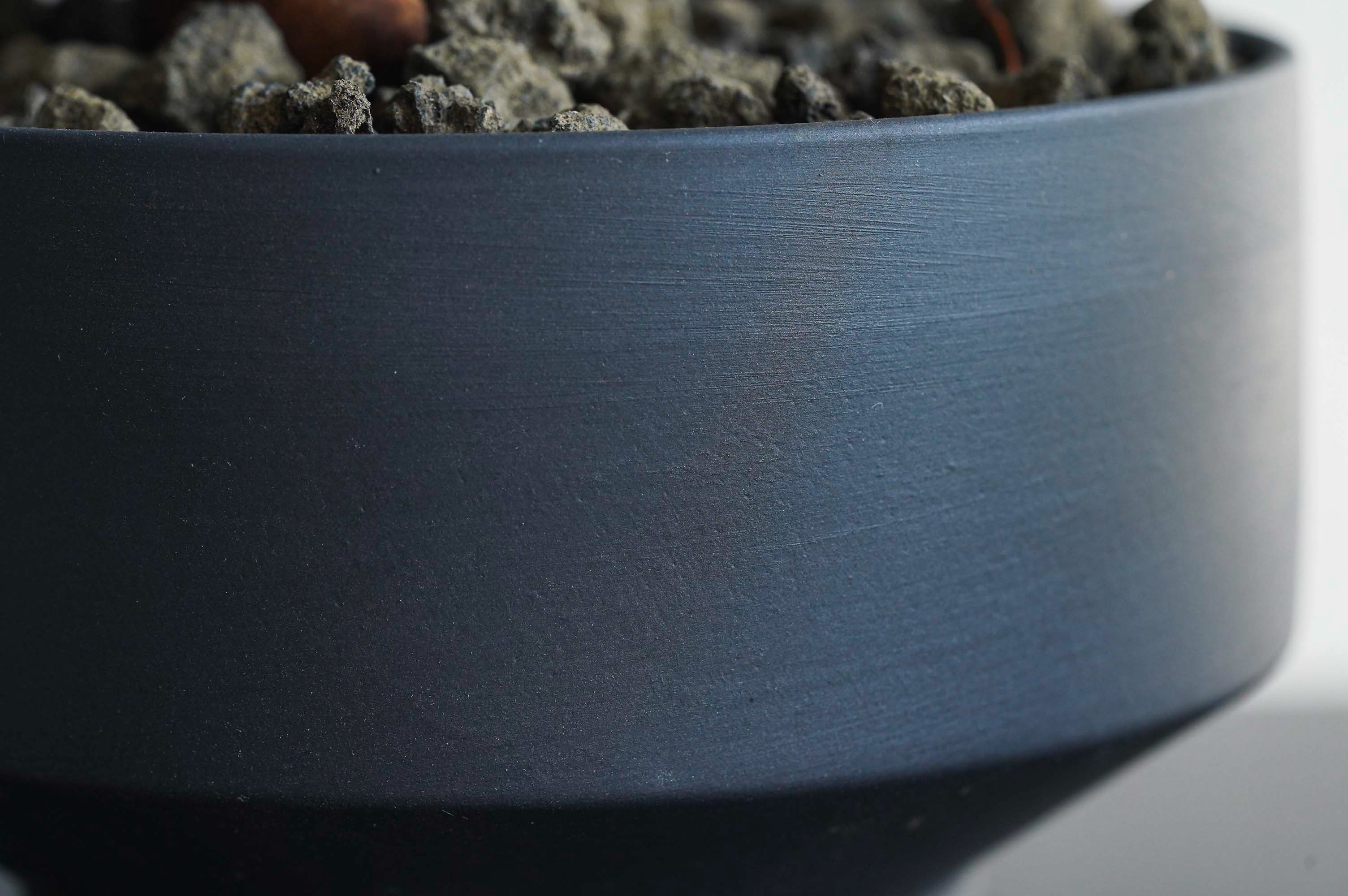 幸せを呼ぶ精霊が住むガジュマル(Black) | 青山フラワーマーケット