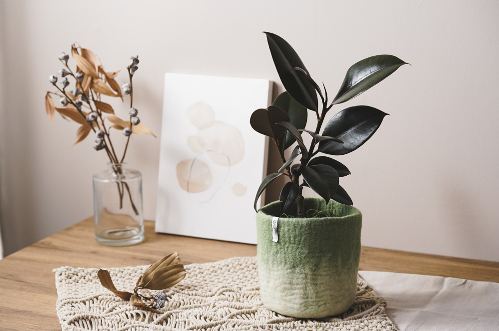 レア3.4万◆新品◆アスティエドヴィラットｘジョンデリアン パノラマカップ＃花器 アスティエ・ド・ヴィラット〉よりボタニカルなコラボ新作。 | カーサ