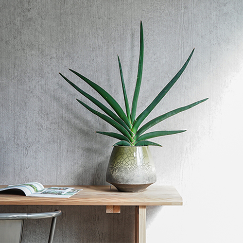 プランター/鉢/鉢カバー | 青山フラワーマーケット | 青山フラワー