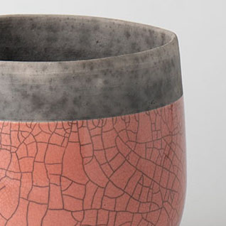 Domani/MINSK(ミンスク)26 Light Coral 5-6号鉢用 | 青山フラワー