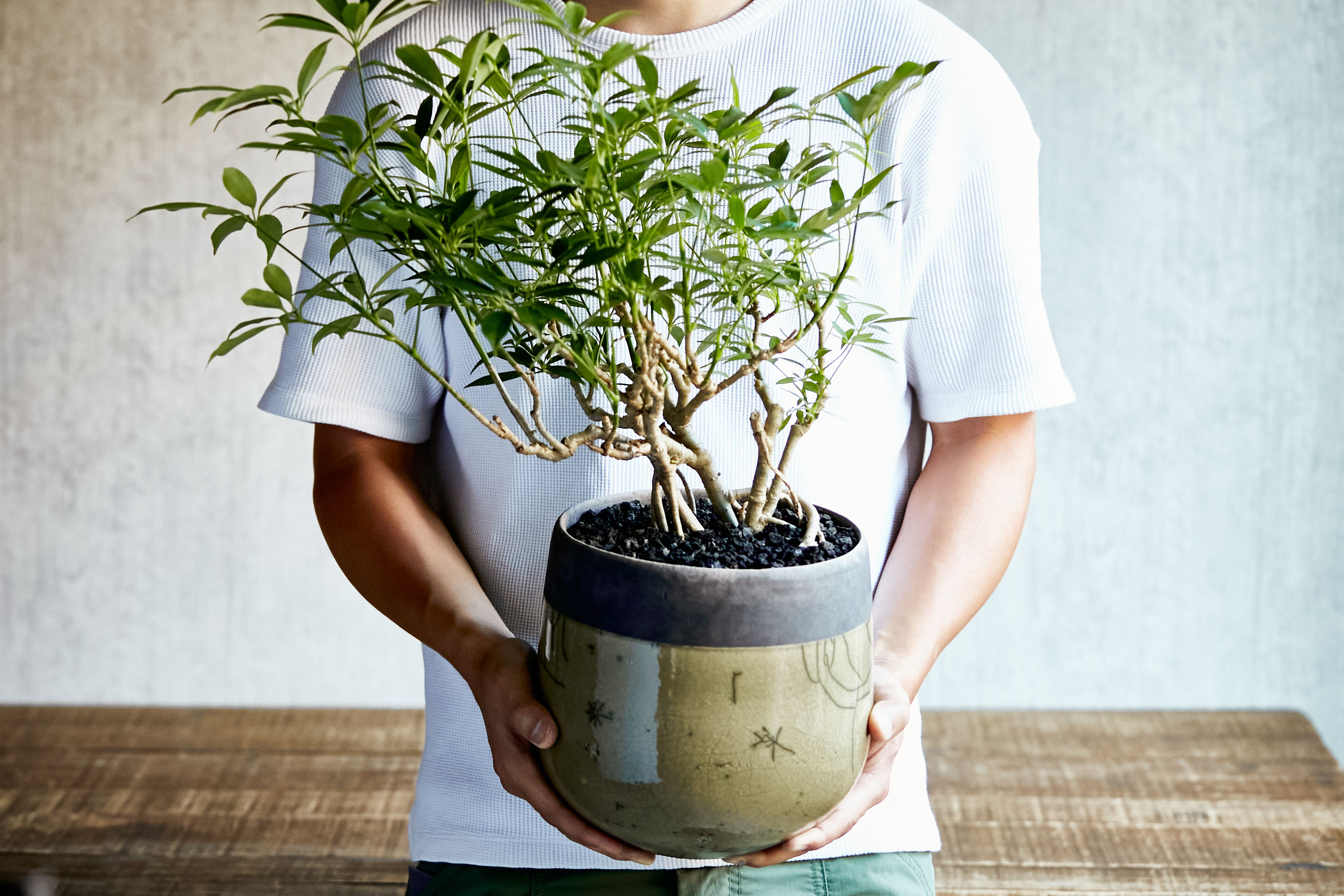 Domani ドマーニ MINSK ミンスク 鉢 花瓶 タキマキ 滝沢