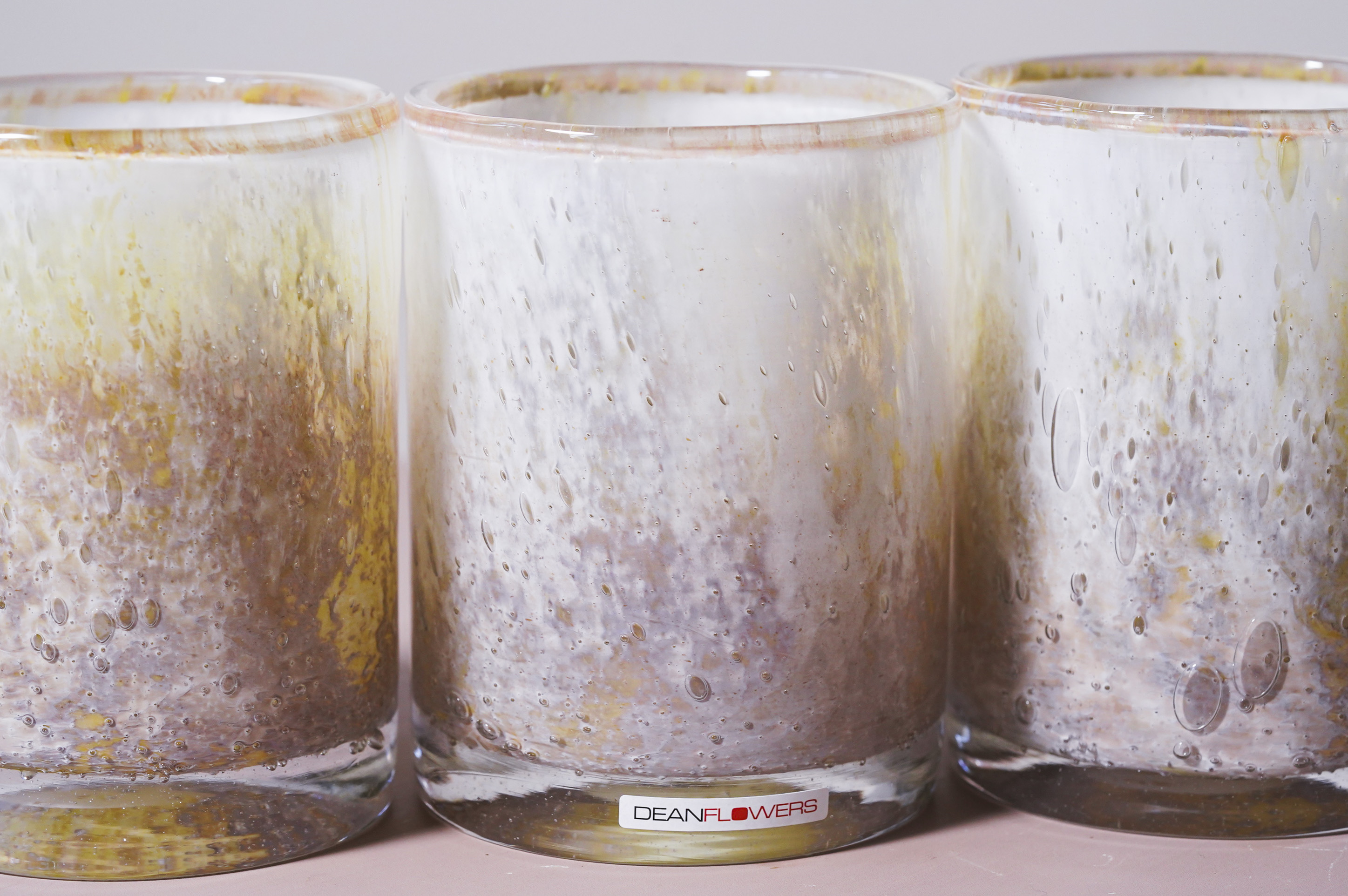 ユーモラスな姿が魅力のガジュマル(Henry Dean Cylinder Corzo ユーモラスな姿が魅力のガジュマル(Henry Dean Cylinder Corzo