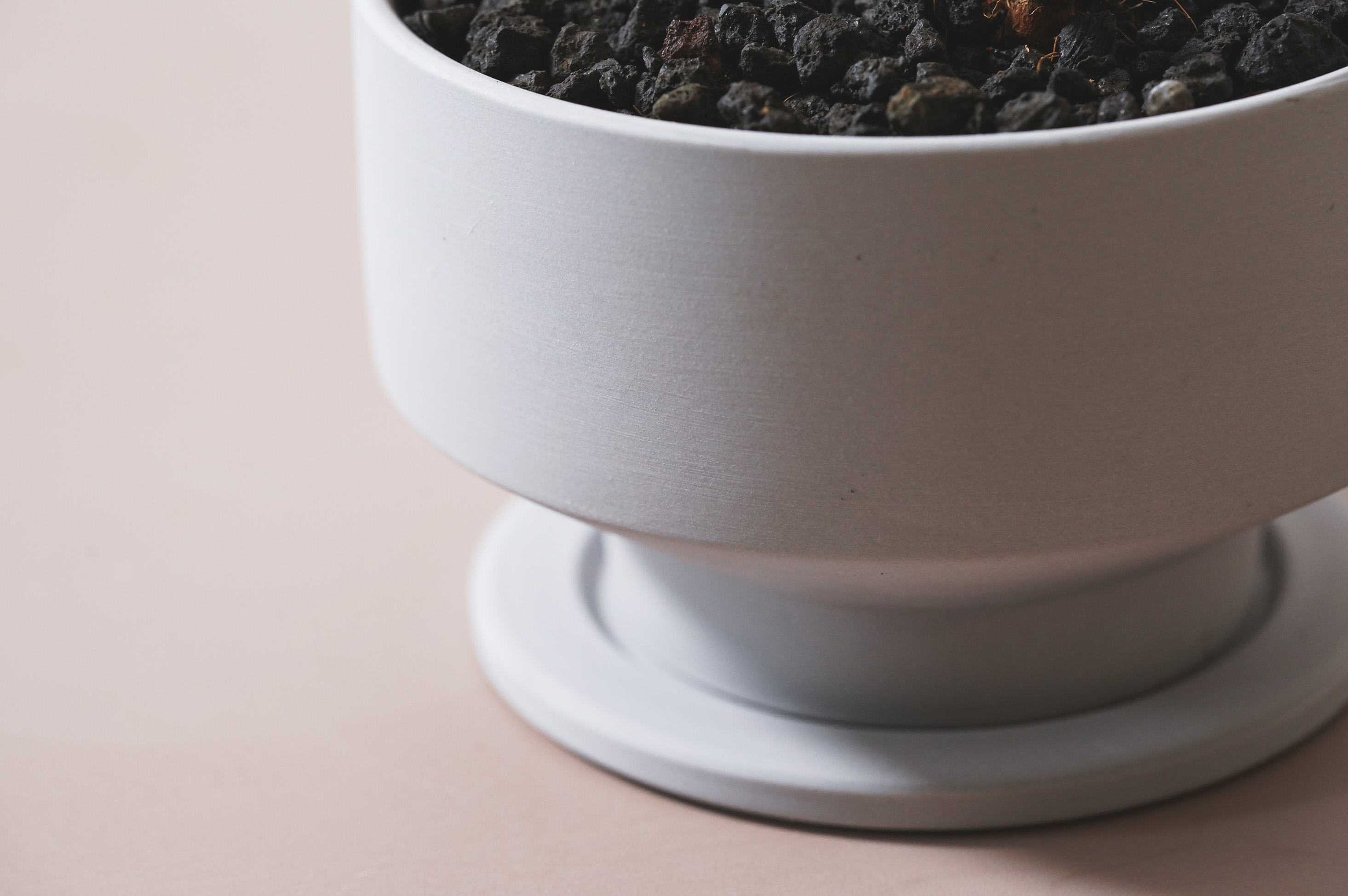 ✨✨✨イボガジュマル【ジブリの世界】検/オキナワガジュマル/※確認用❗️ ✨✨✨superガジュマル 小品イボ幹【ジブリの世界】 - メルカリ