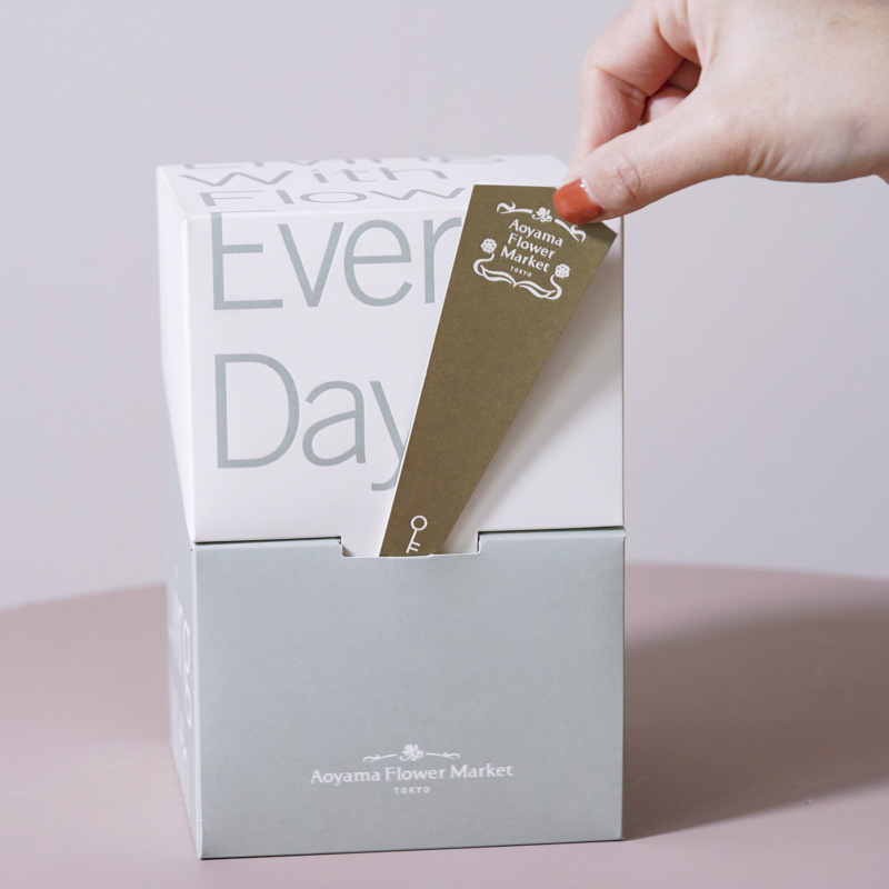 ユニークな姿が特徴的なガジュマル(Black)「Thankyouメッセージピック