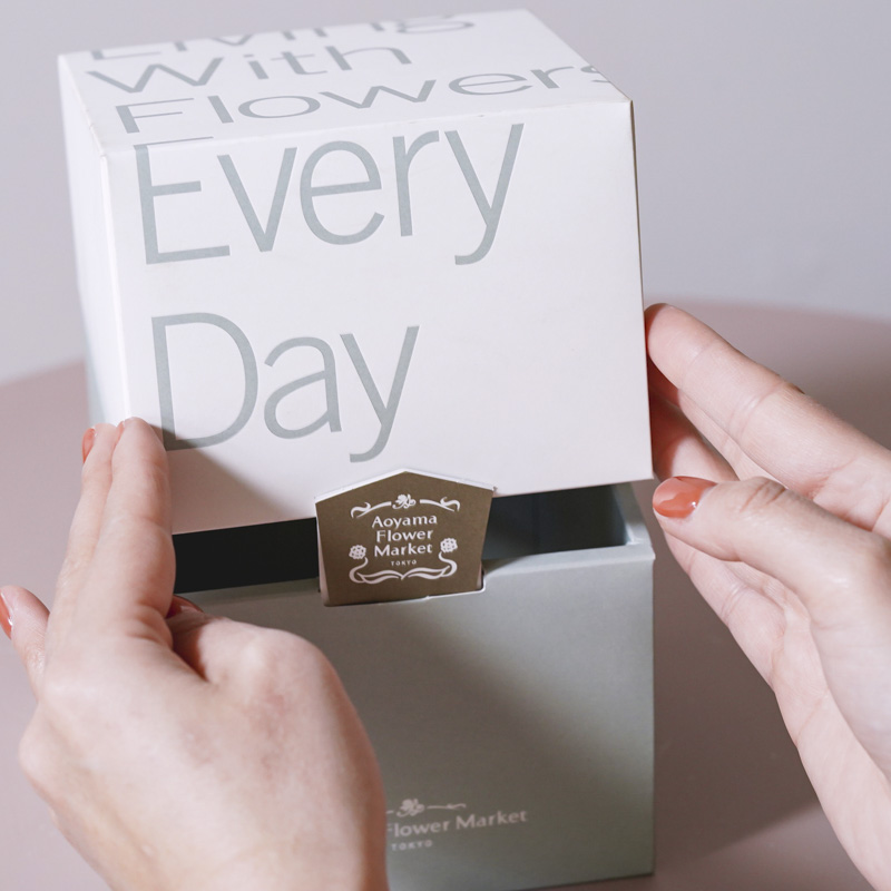 ユニークな姿が特徴的なガジュマル(Black)「Thankyouメッセージ