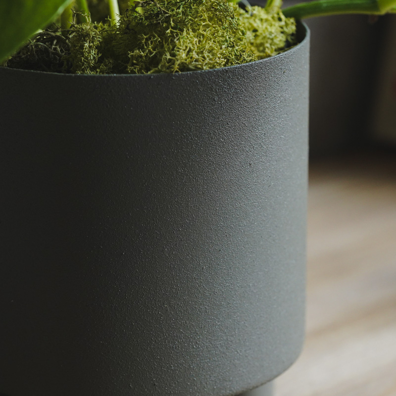 華やかなマーブル模様が特徴のポトス・ゴールデン | 青山フラワー