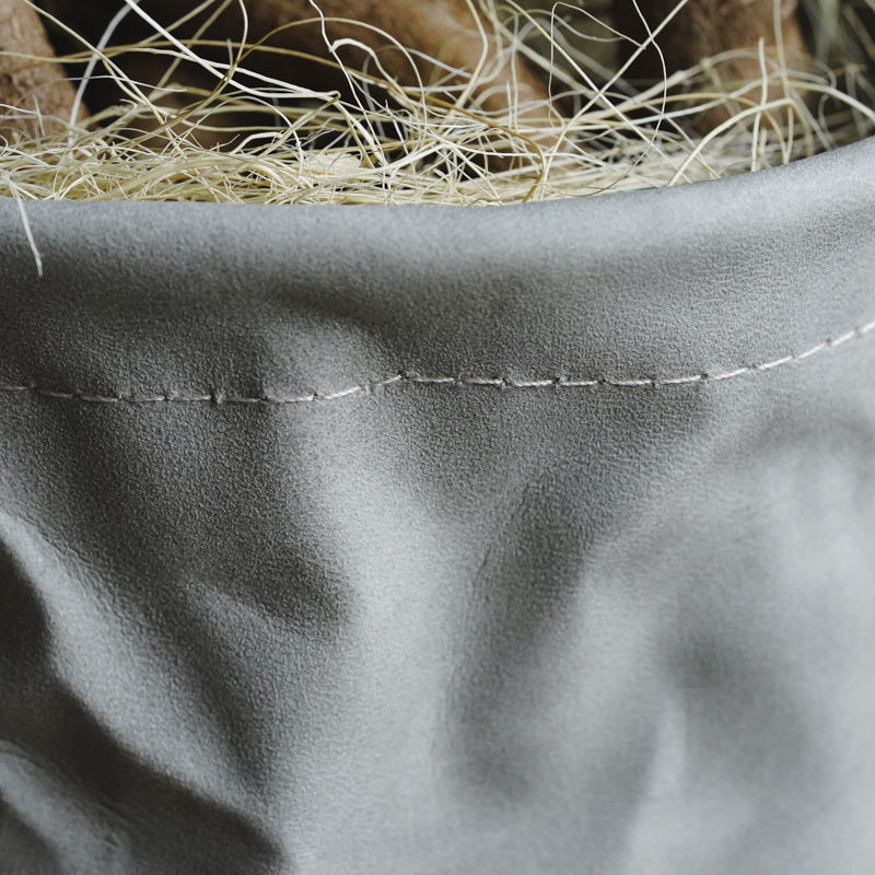 ガジュマル どっしりと絡みつく幹が特徴のガジュマル | 青山フラワーマーケット