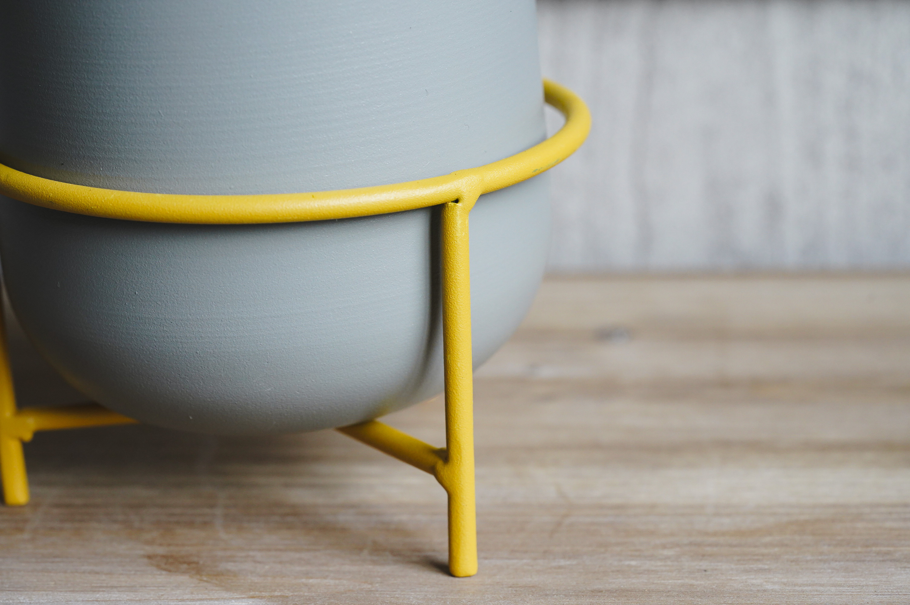 月夜に甘い柑橘の香りが漂うゲッキツ(Gray) | 青山フラワーマーケット