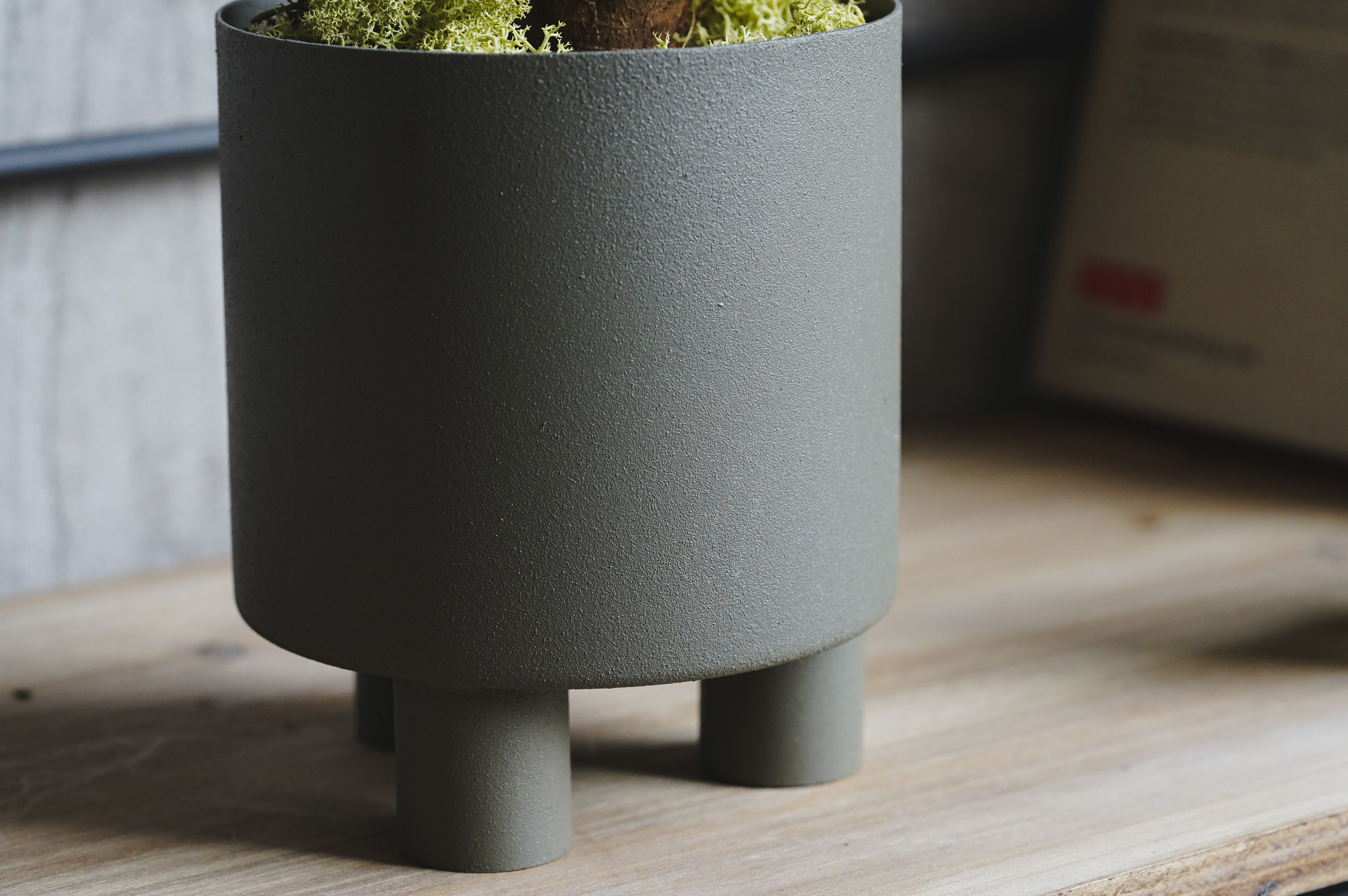 ガジュマルさま専用ページ ガジュマル 052301 販売・通販［詳細ページ］ *tree tree*