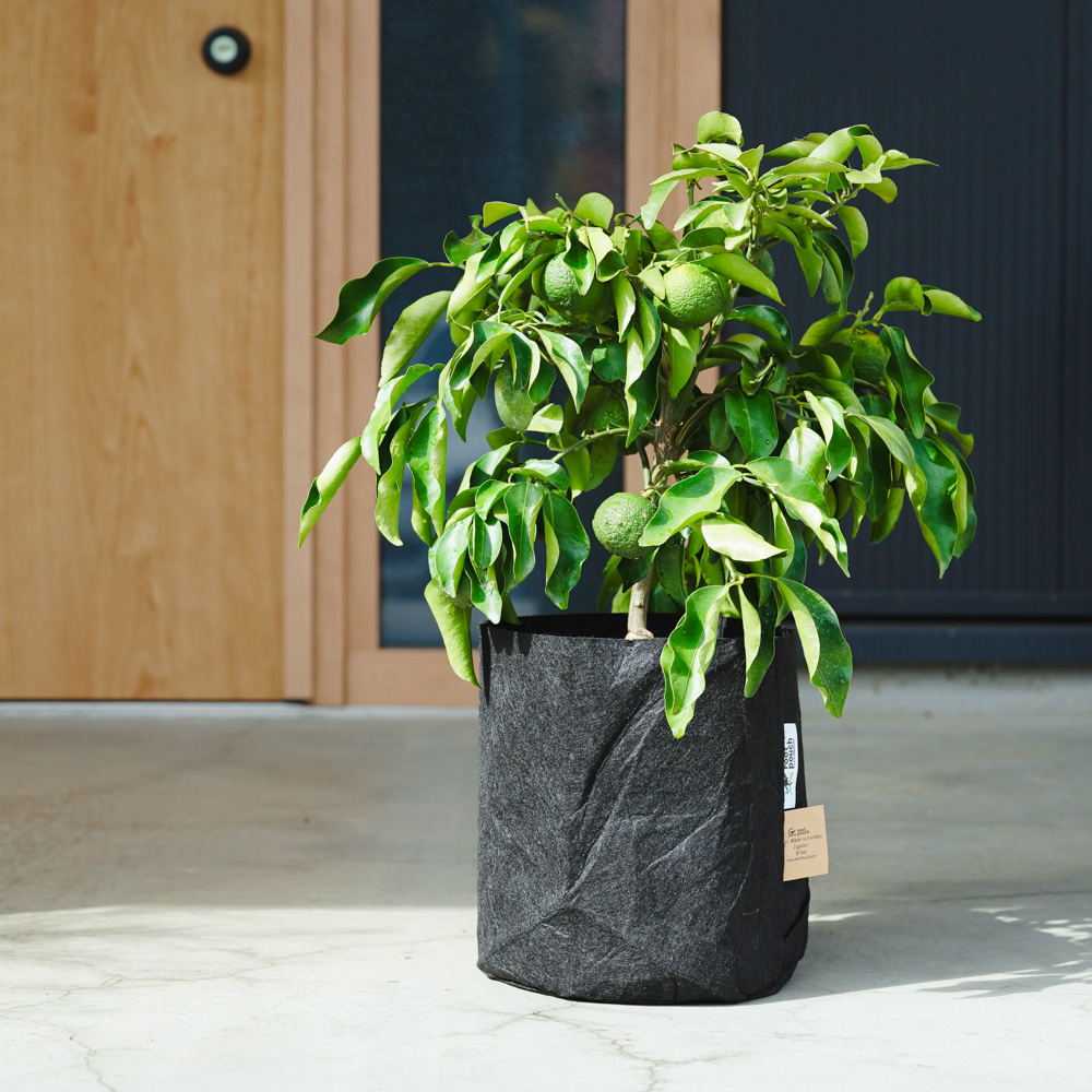 plusgardensshop • Instagram photos and videos ロンドン 鉢