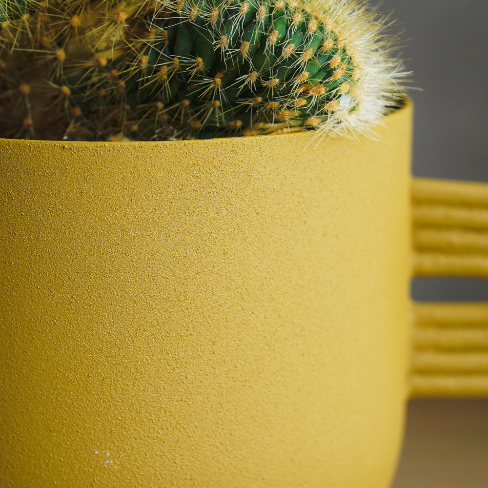 重厚感のある姿が特徴のヴァトリカニア・グエンテリー | 青山フラワー