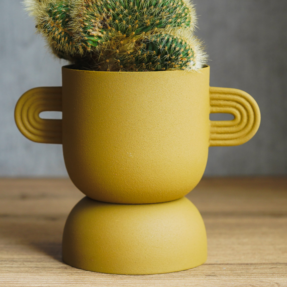 重厚感のある姿が特徴のヴァトリカニア・グエンテリー | 青山フラワー