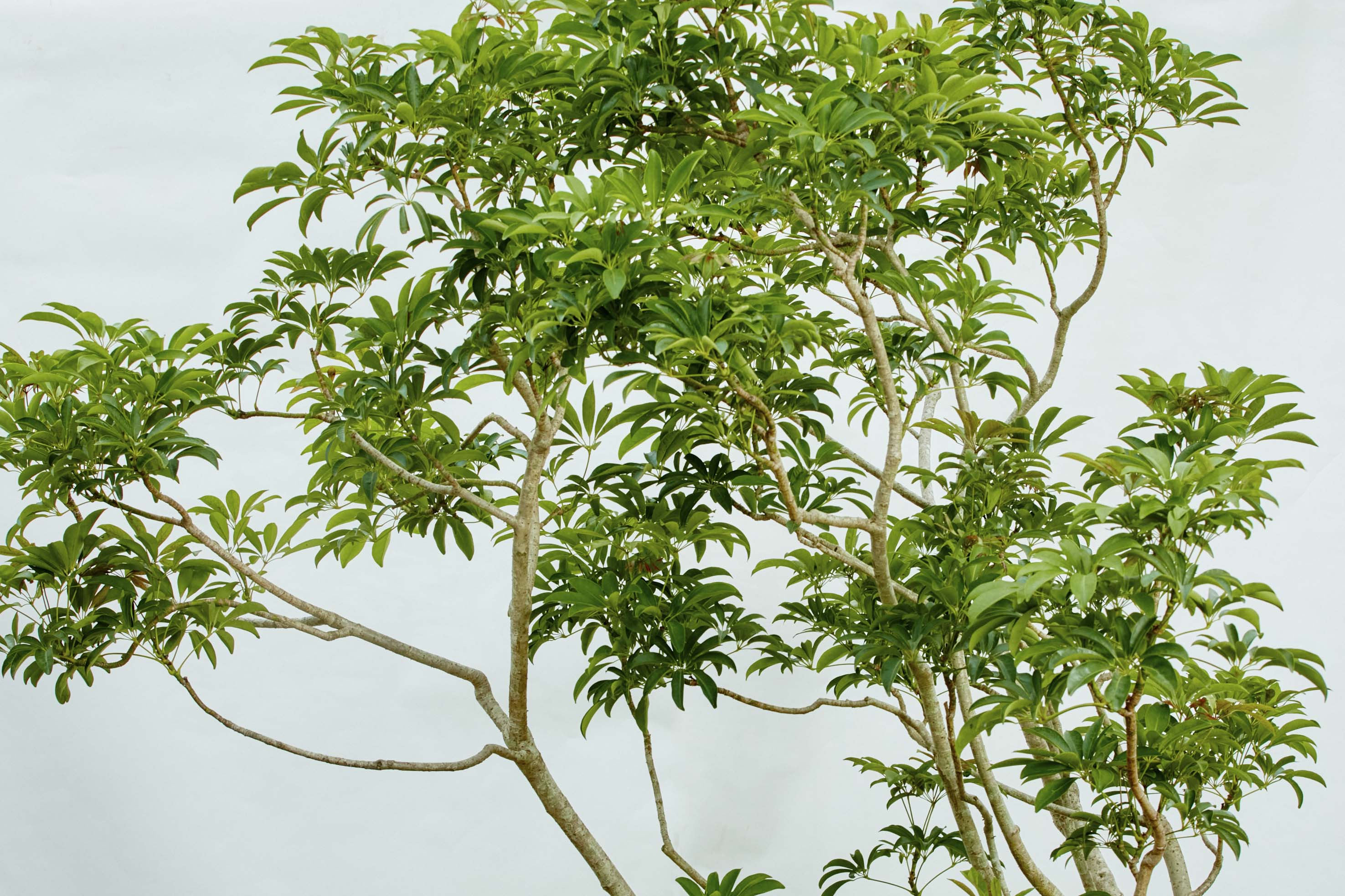 GR20241023_L30_TW3_200.jpg