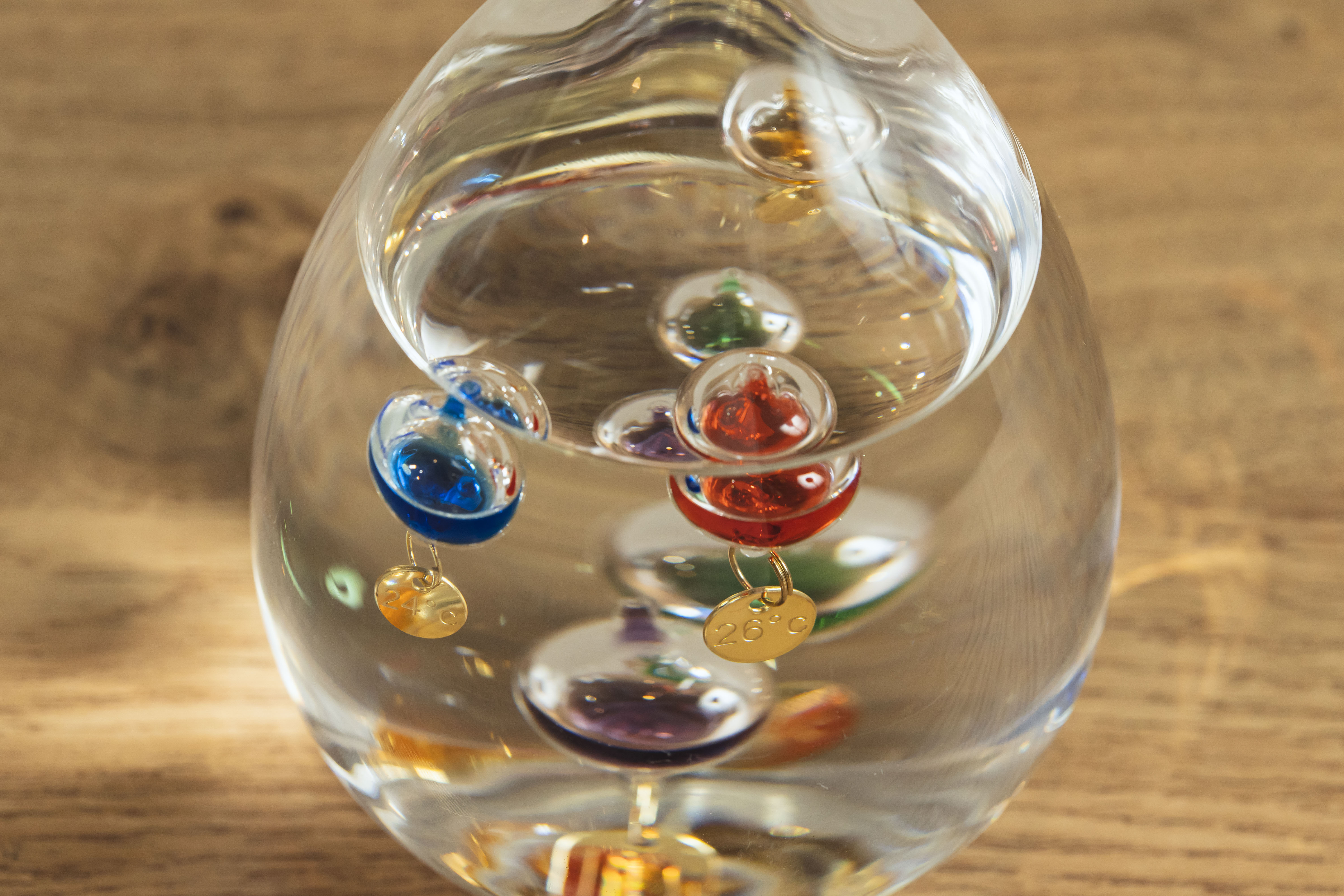 ガラスフロート温度計 （Lサイズ） | 青山フラワーマーケット｜花束