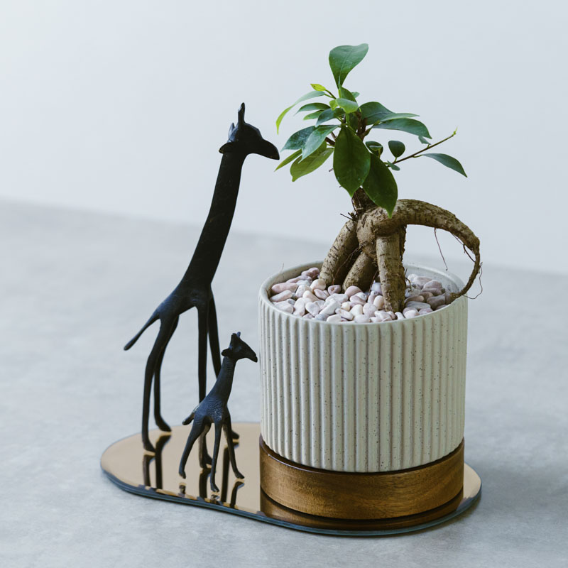 Kakyo(コースター)gold×ブラスキリン(ラージ&スモール)3点セット