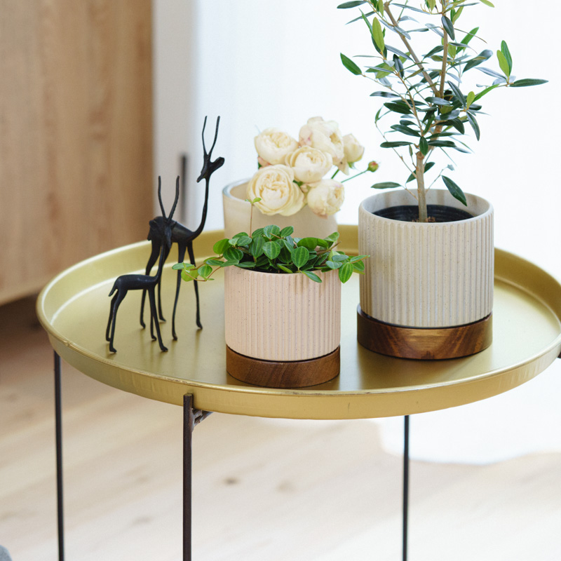 ラウンドサイドテーブル（brass） | 青山フラワーマーケット｜花束