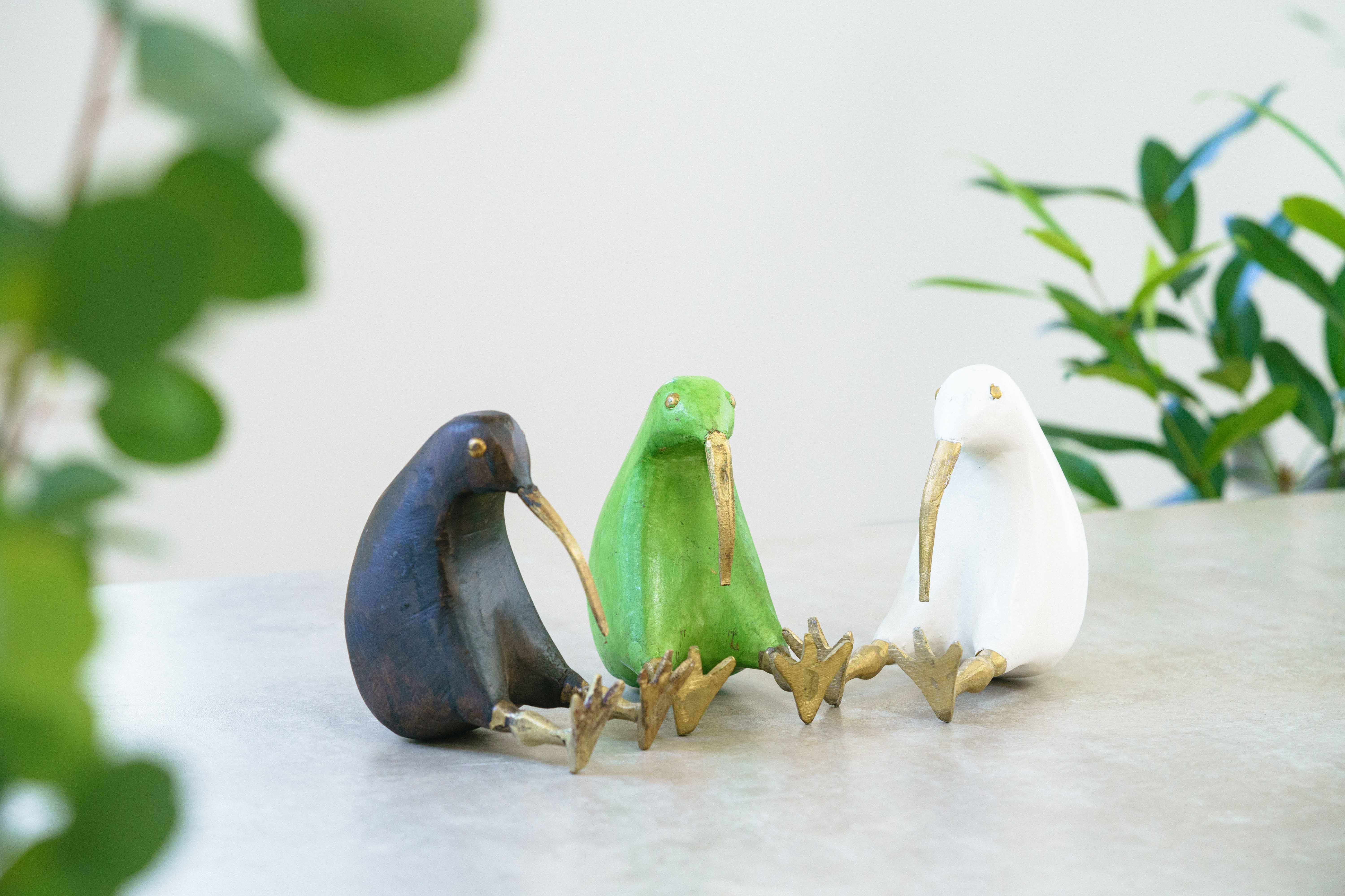 森で最も愛される鳥」と言われるキウイ(小) Green | 青山フラワー
