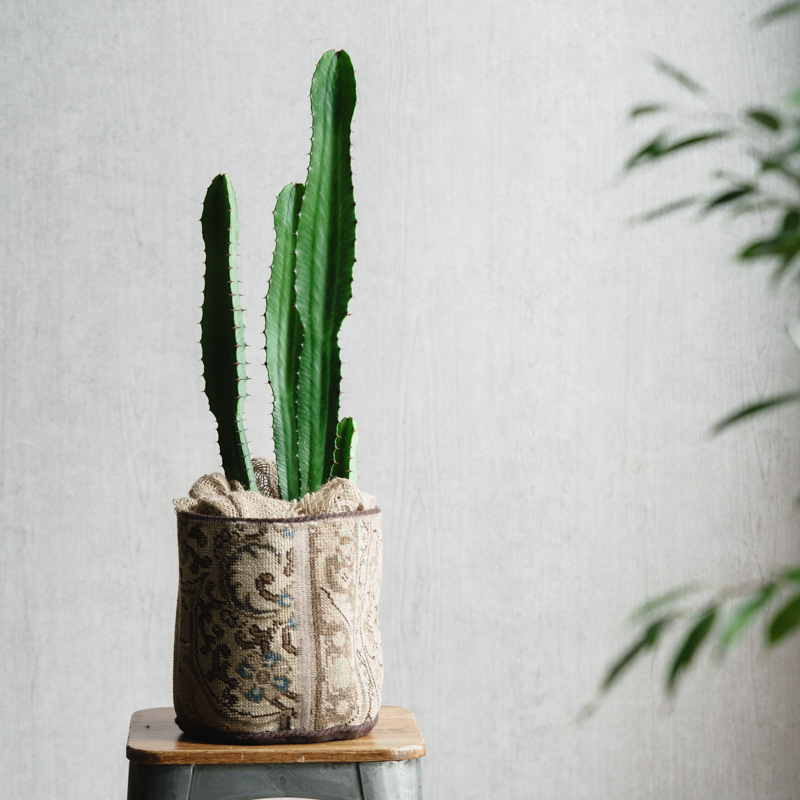 シックなグレージュ♦️箱入り 花瓶♦️未使用♦️補償付♦️元箱発送♦️送料込 シックなグレージュ♦️箱入り 花瓶♦️未使用♦️補償付♦️元