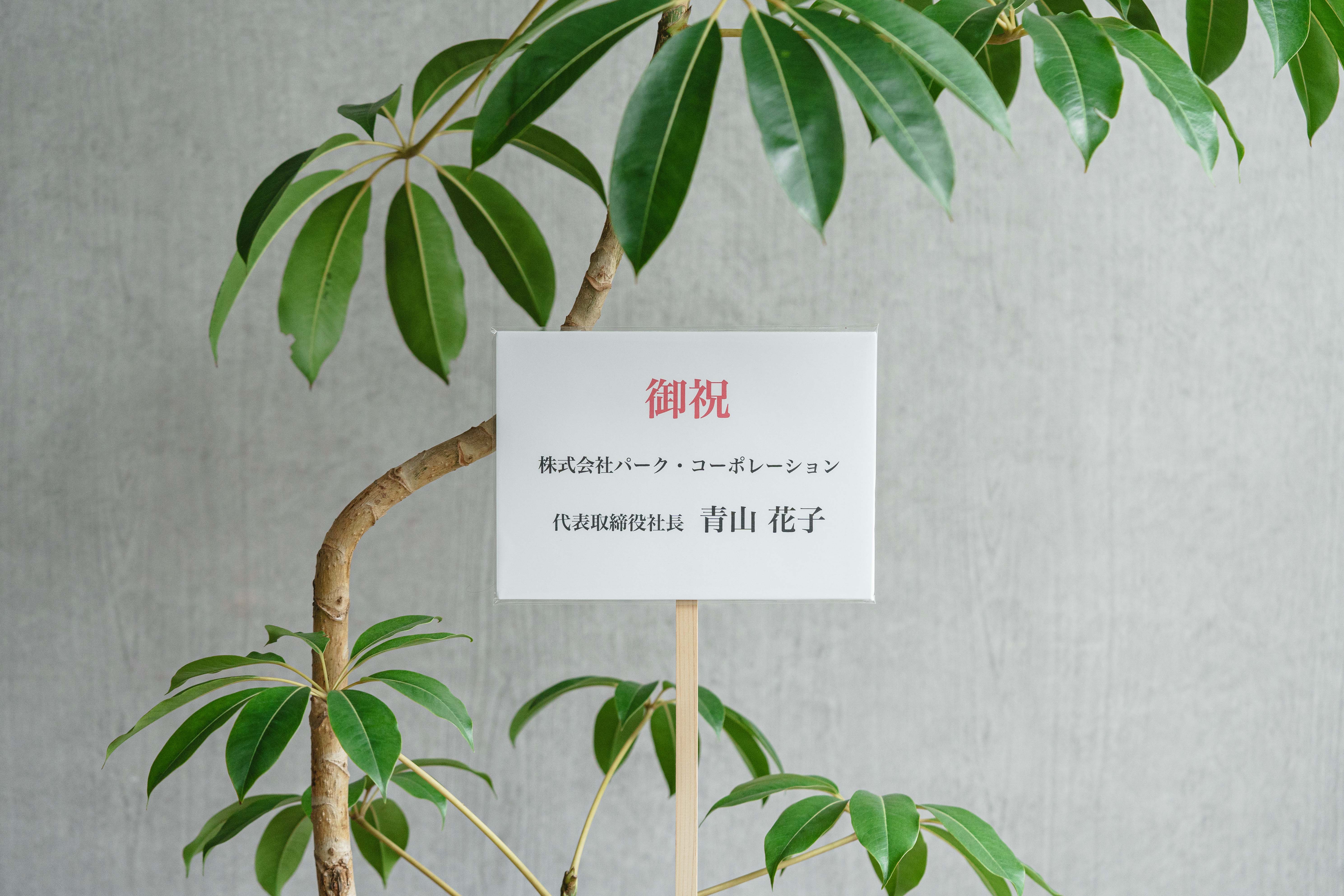 ツピタンサス/KONTON by yamatei/フェルムシリンダー（Black） | 青山