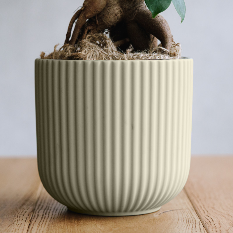 青山フラワーマーケット｜花束・ギフトのオンラインショップ