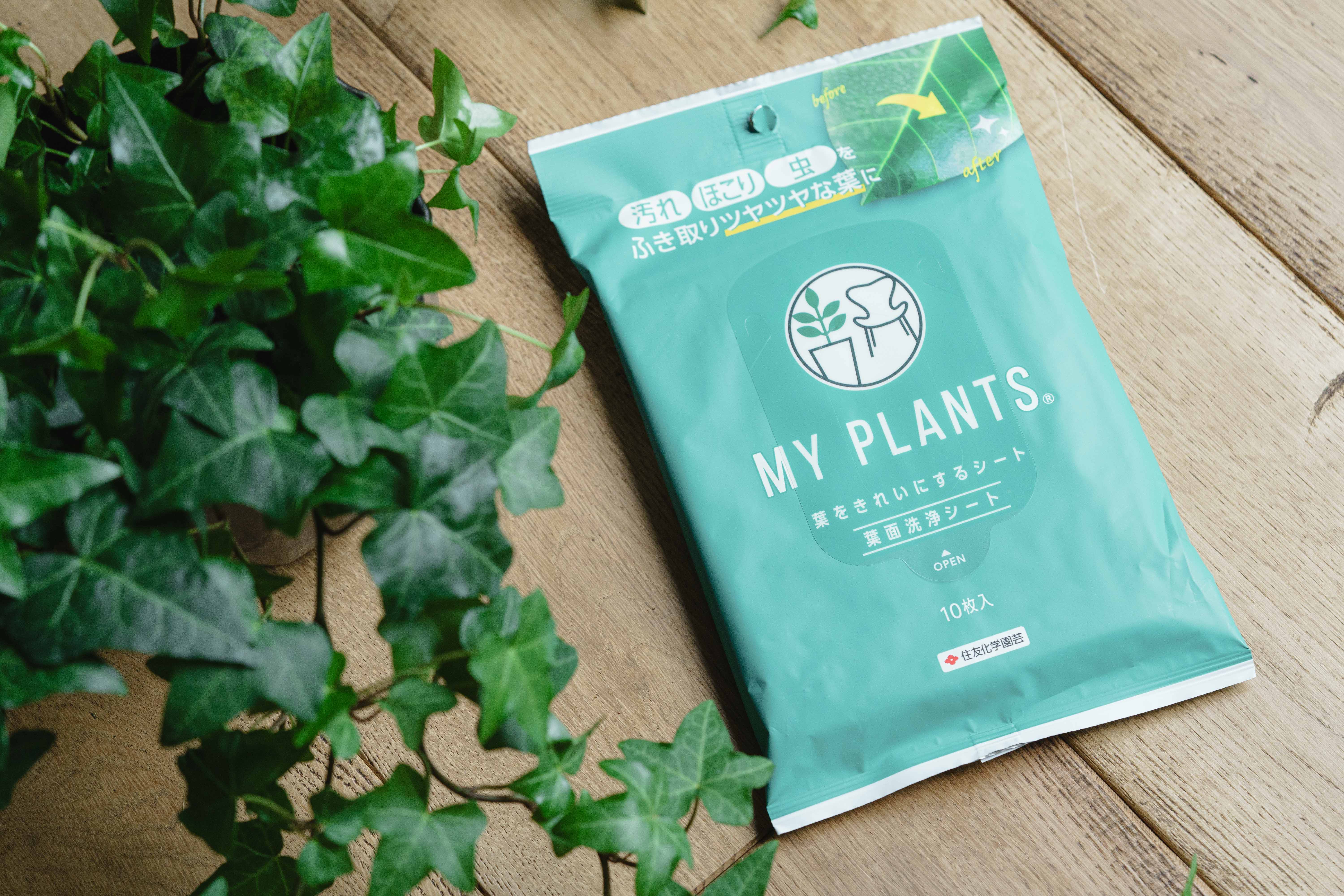 MY PLANTS/葉をきれいにするシート | 青山フラワーマーケット｜花束