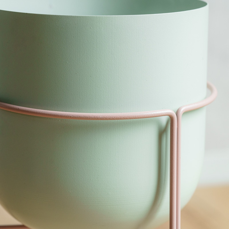 フィロデンドロン・オキシカルジウム・ブラジル/neulo(ニューロ