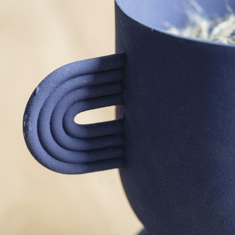 パンダガジュマル/FARM(ファーム)/アポレナ Blue | 青山フラワー