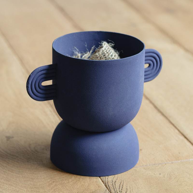 研究用7年目◽️パンダガジュマル◽️実生 研究用7年目◽️パンダ