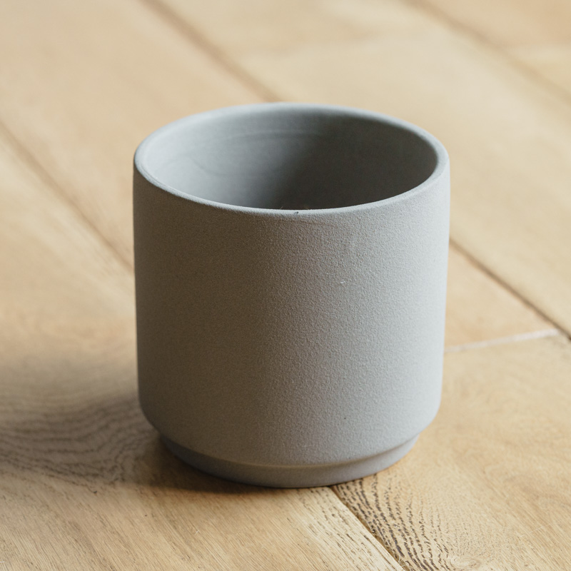 パンダガジュマル/青山フラワーマーケット/SOL(ソル) Gray | 青山