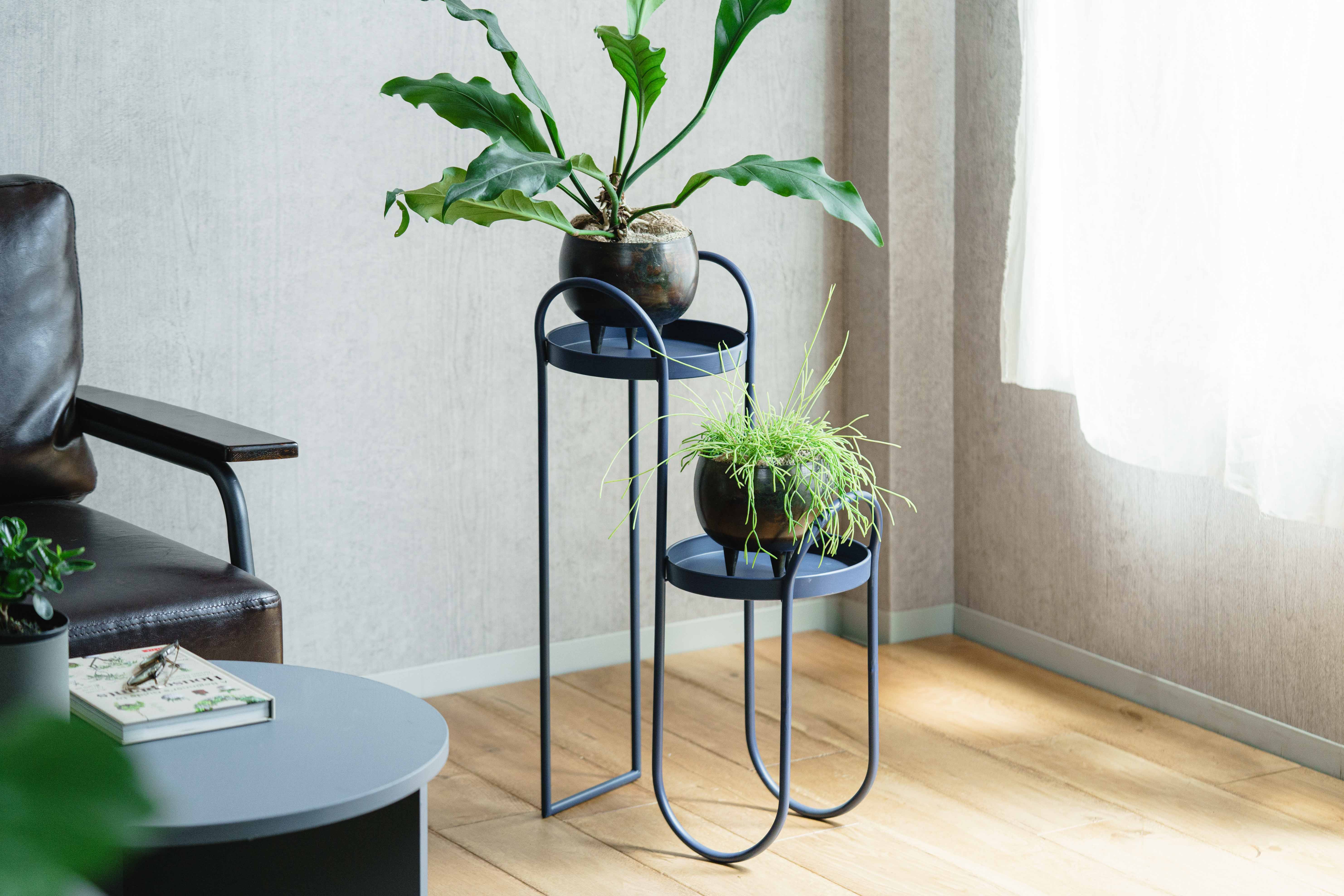 neulo(ニューロ)/ニュアン・スタンド blue | 青山フラワーマーケット