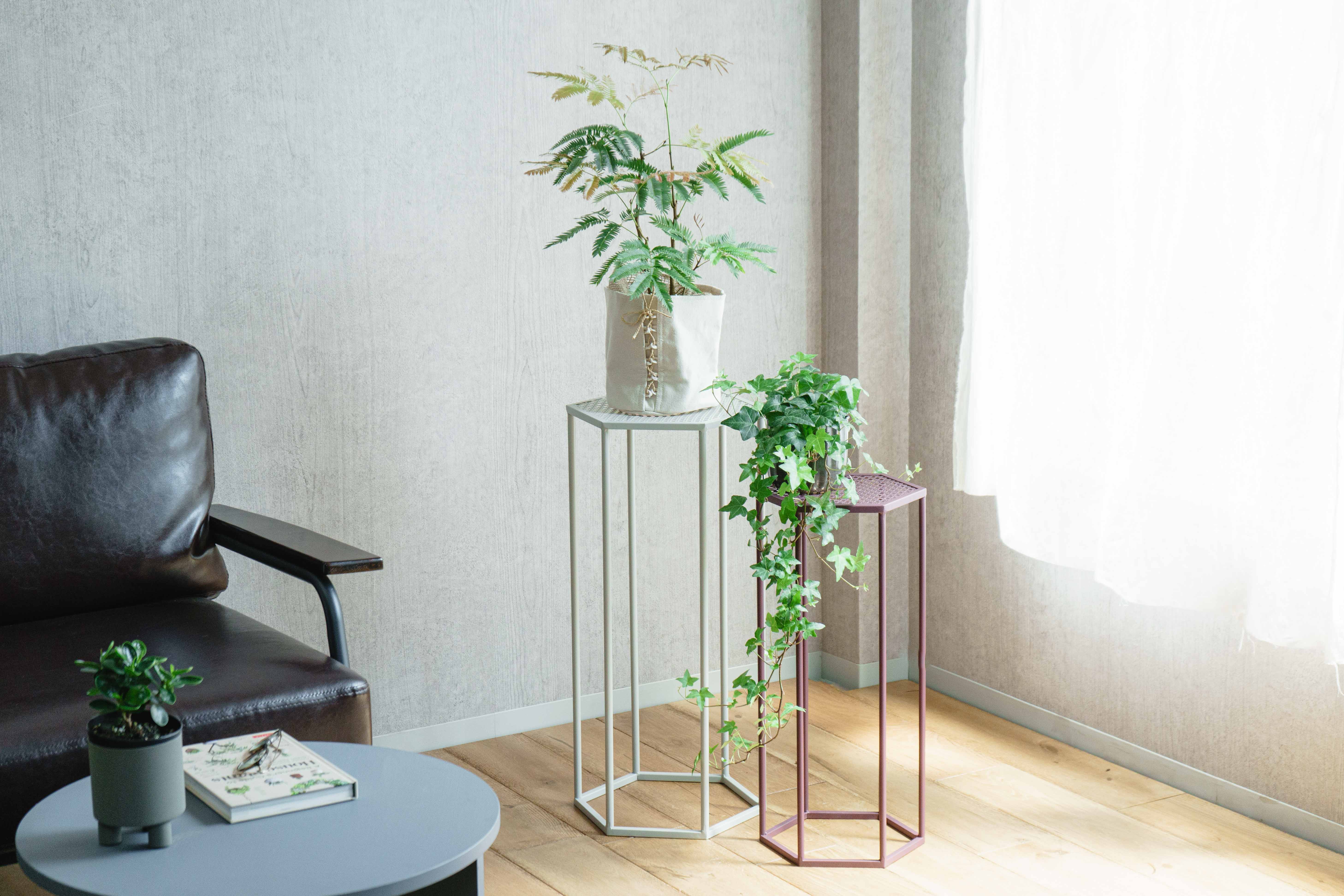 neulo(ニューロ)/フロミハイスタンド S Red | 青山フラワーマーケット